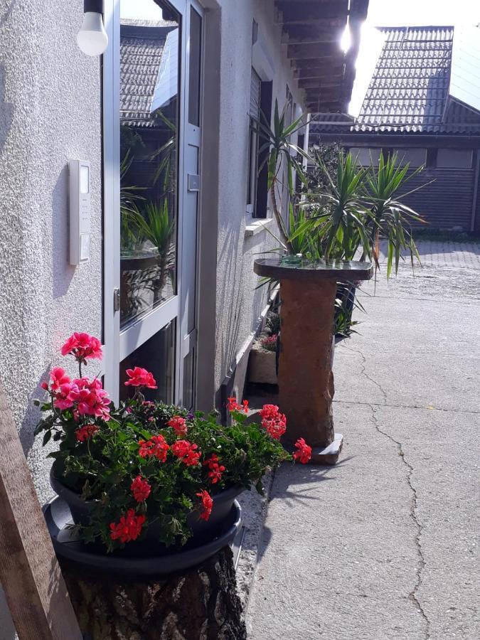 Gaestehaus Gl Ellwangen Exteriér fotografie